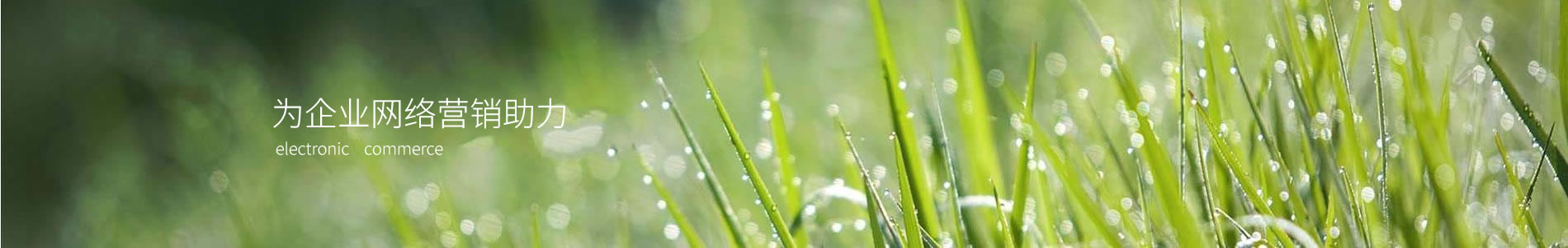 ʯׯŲʰ幰ݶ޹˾
